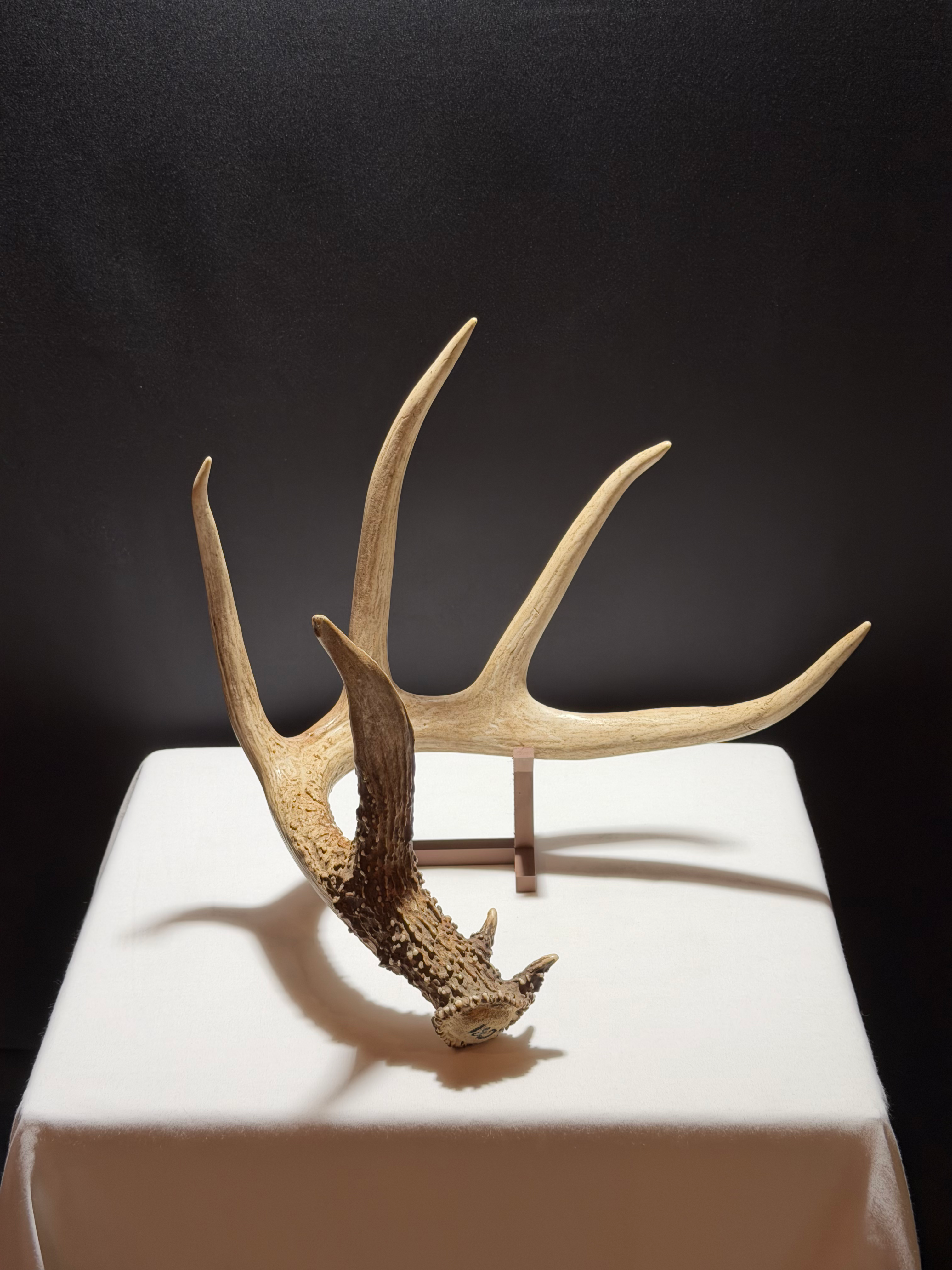 Single Shed Stand