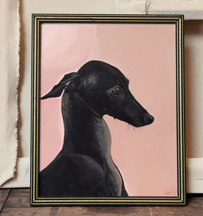 Framed black greyhound dog portrait with soft pink background and refined painterly detail by Carla Tracy