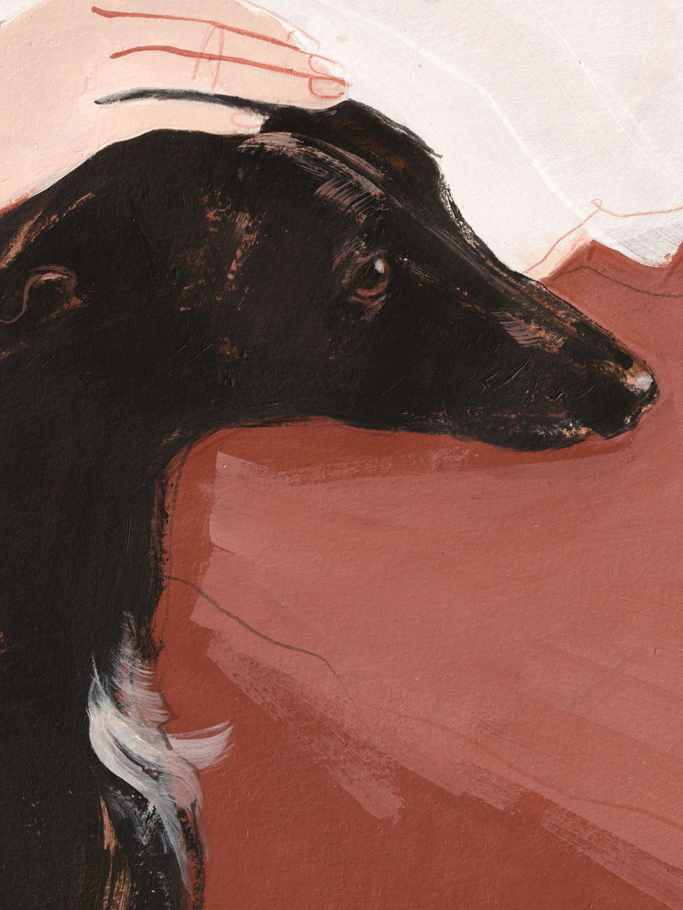 Close-up of the black whippet’s head against the warm rose background in At Her Side