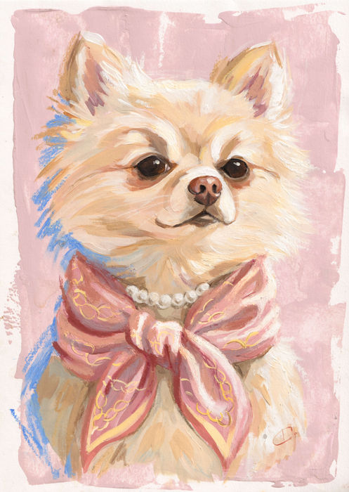 Commissioned contemporary portrait painting of a Pomeranian dog wearing a blush pink silk scarf by British Artist Carla Tracy, Poochini