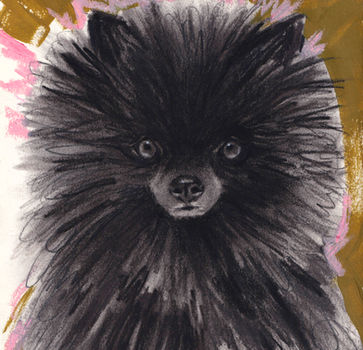 Floofie Floofie original Pomeranian portrait from the Signature Tier collection, featuring detailed charcoal and pastel textures with expressive fur in charcoal and acrylic with mustard background