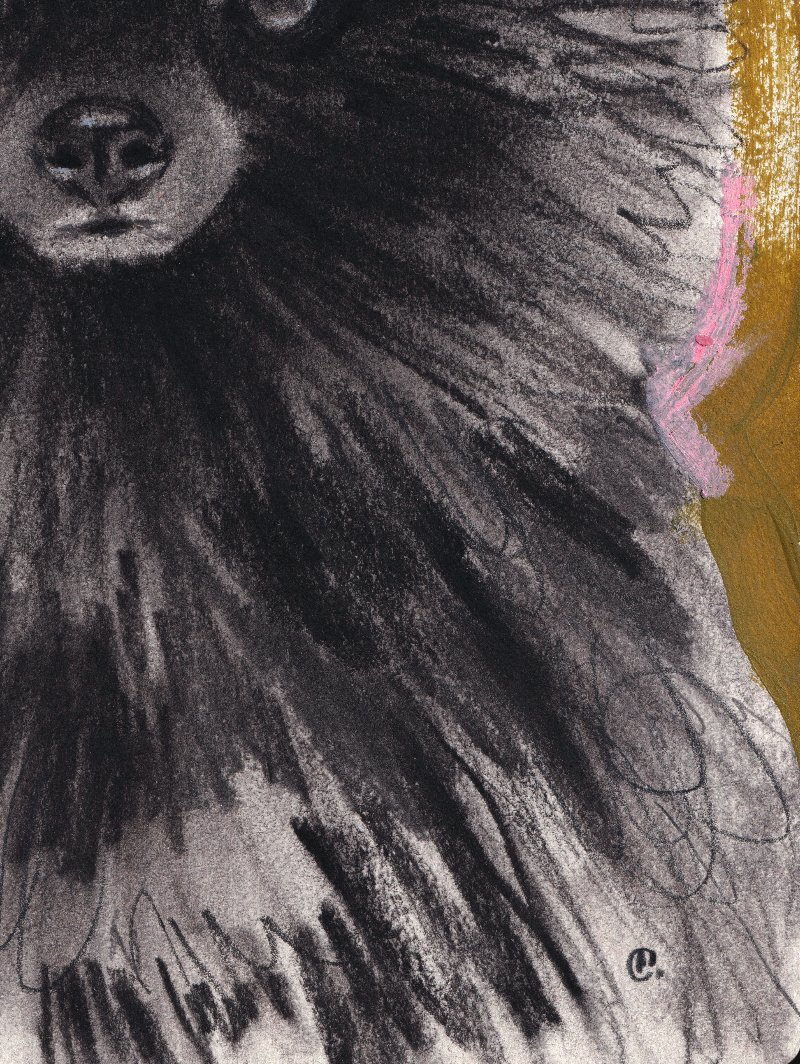 Close-up detail of Pomeranian artwork showing layered charcoal strokes and expressive fur texture.