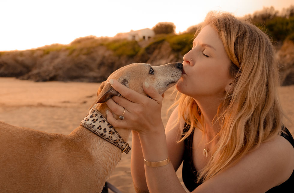 Carla Tracy kissing her whippet on a beach at sunset, illustrating the bond and connection that inspires her whippet portraits.