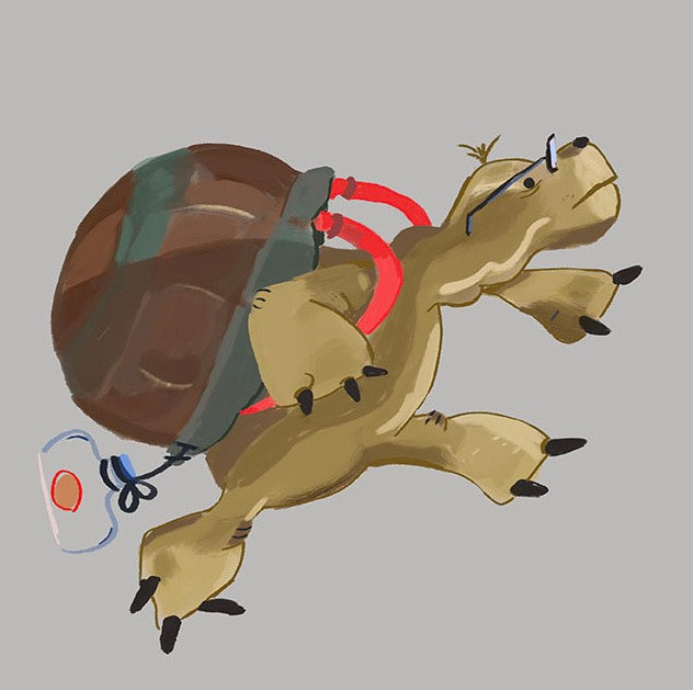 turtle cover+_edited.jpg