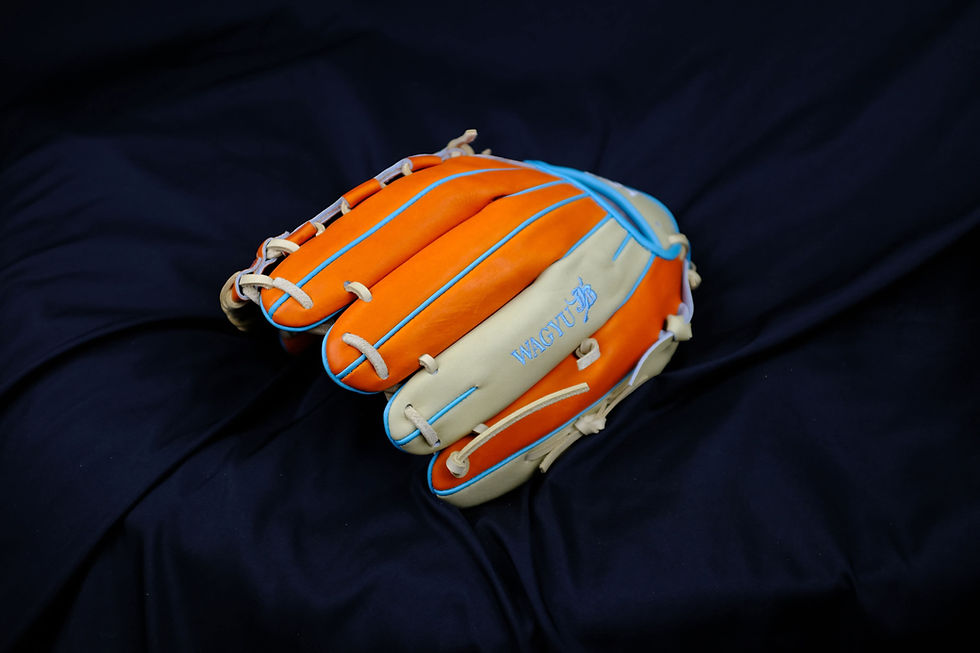 Thumbnail: WAGYU  JB Glove Jenter13