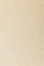 Brown Textured Paper Background.jpg