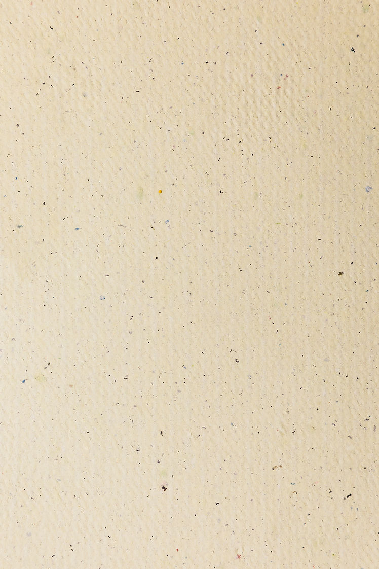 Brown Textured Paper Background.jpg
