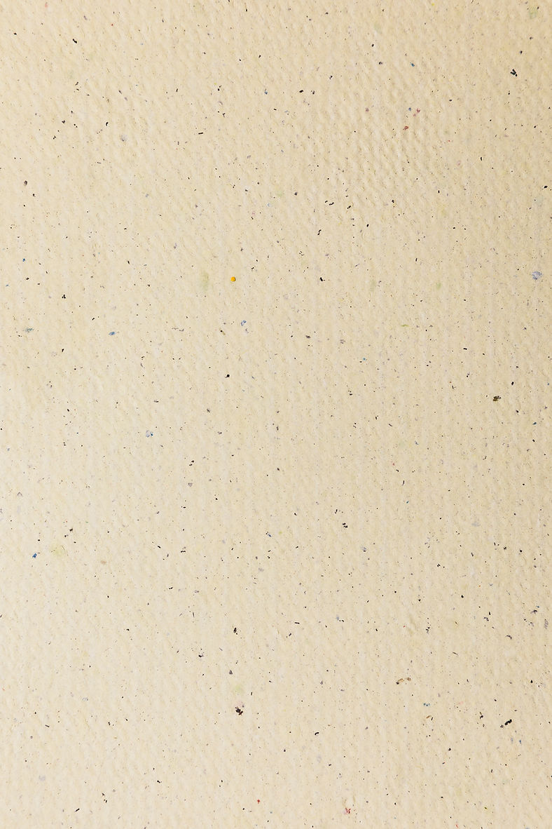 Brown Textured Paper Background.jpg