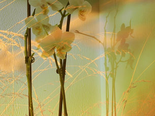 Featured Artist Whitney Hessong makes memorable mixed media