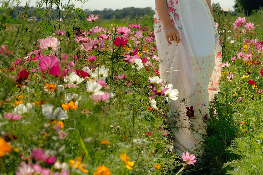 Person standing in a field of colorful wildflowers