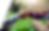 Rectangle 428 (2).png