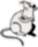 01-Website-SchundUndLuder-2026-22.png