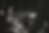 WEB-0569.png