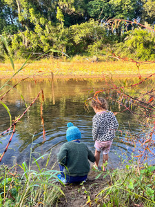 morning play on the mary river