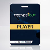 Credencial em PVC personalizada para feiras, shows e eventos