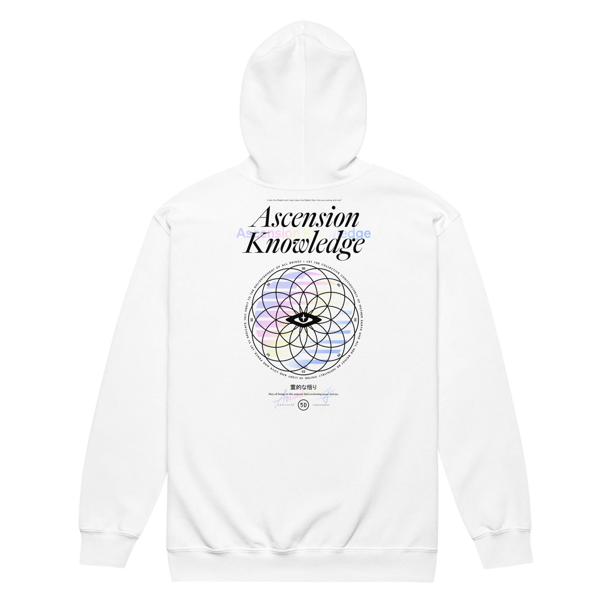 Ascension Knowledge Hoodie