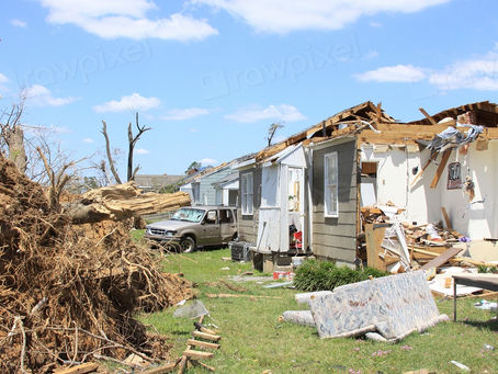 Fallen tree on a storm damaged property, storm damage restoration in Toronto
