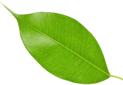 wepik-export-20231226221147559P (1)_edit