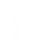feather 3.png