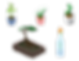 plant_Set