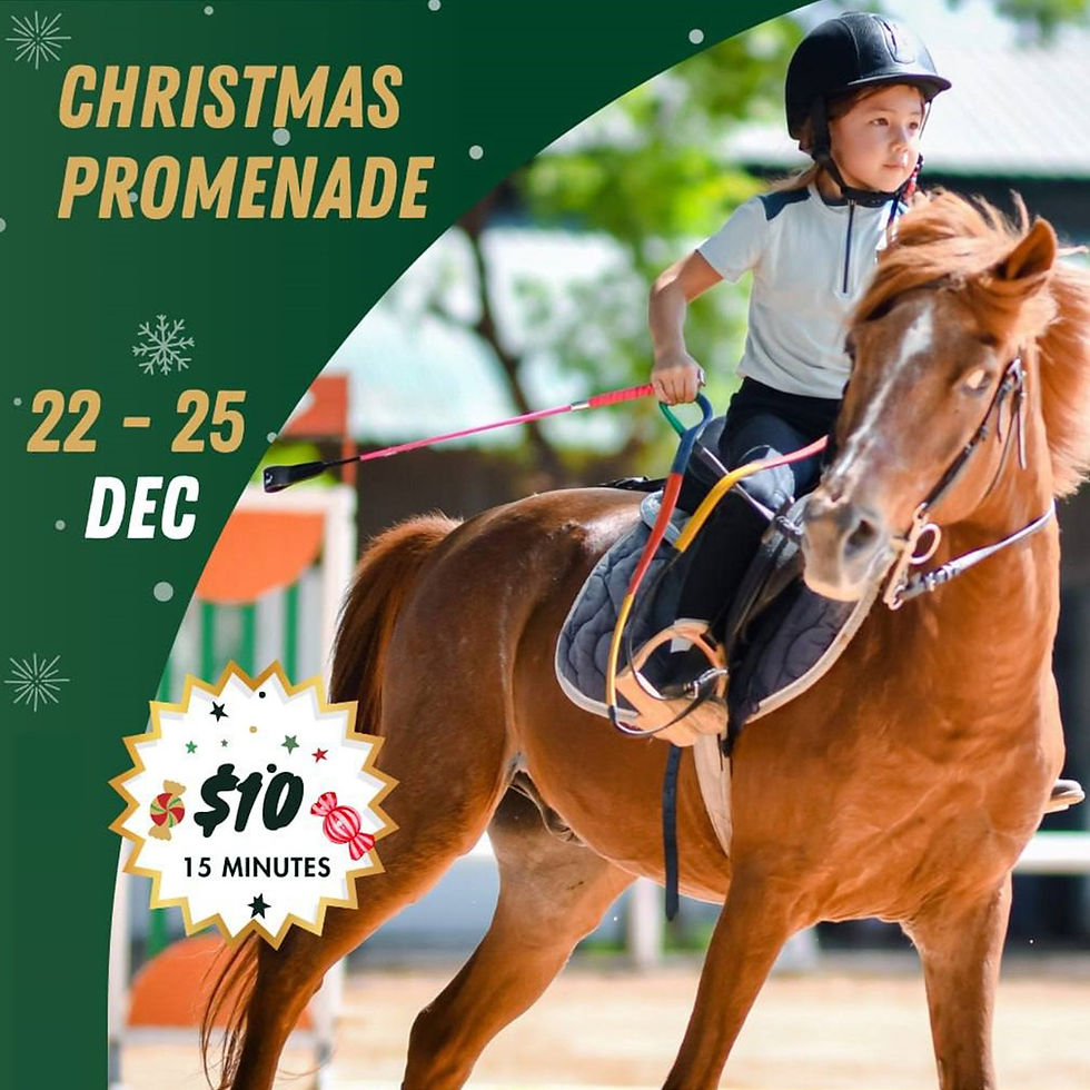 Christmas Promenade 🆓