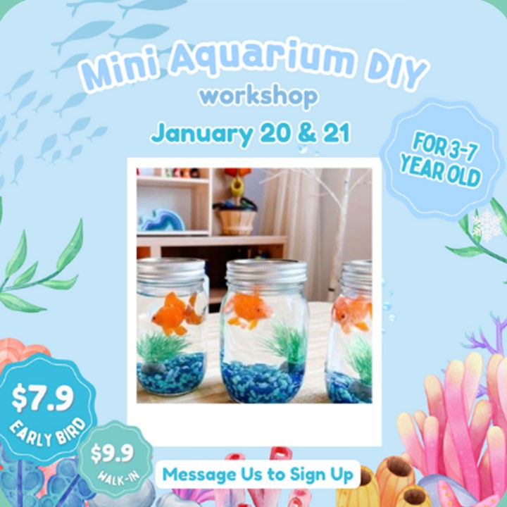 Mini Aquarium DIY