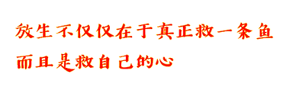 156452878434849.png