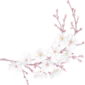 L0n38OR7ve - 副本.png