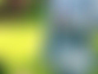 Michael "Mike" Beeler