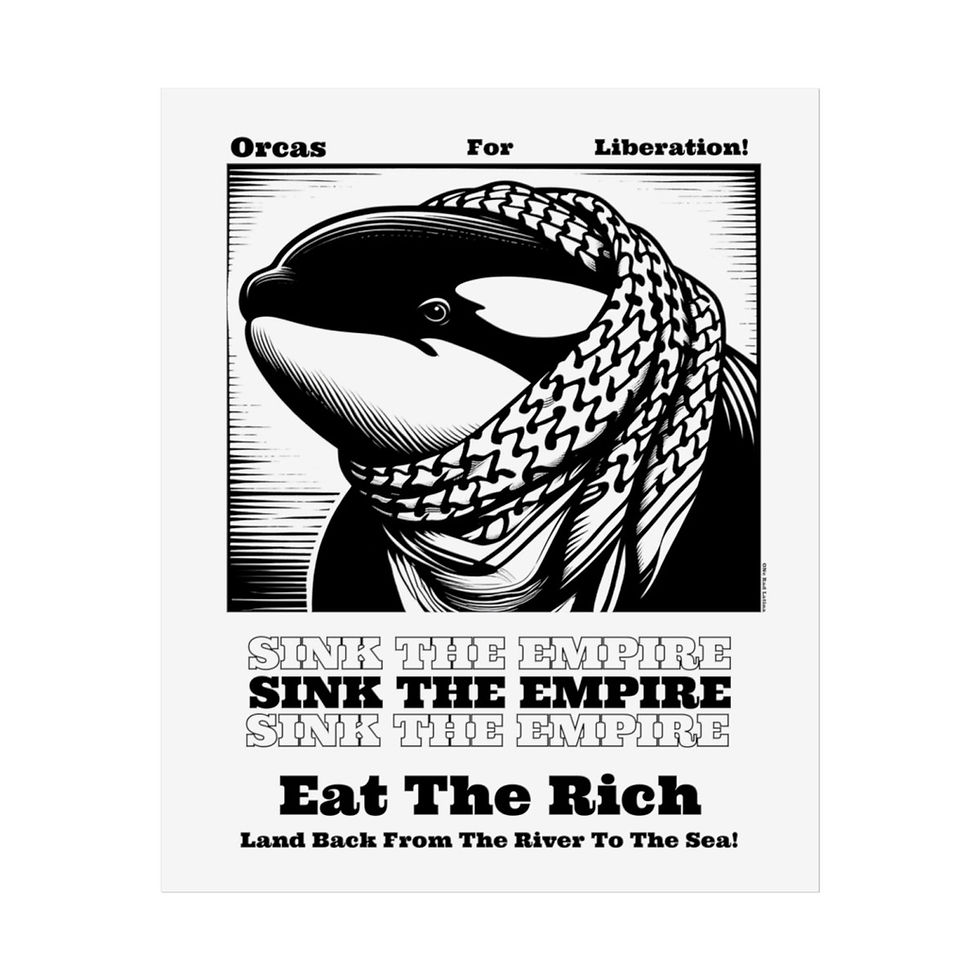 Thumbnail: Orca Rolled Posters
