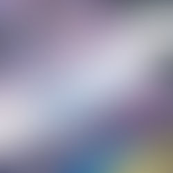 10. Konferenz für Interim Manager in Salzburg