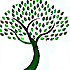 Rejuvenate Homes Sober Living