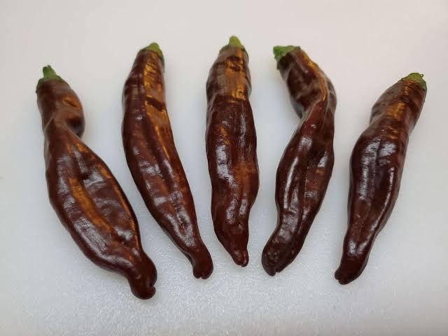Etheopian Brown Pepper