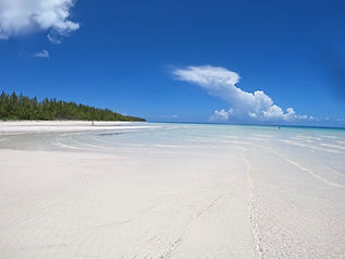 GOPR4453.jpg