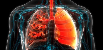 11 Pulmoner Hipertansiyon.jpg