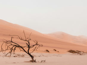 God will restore us in scorched places