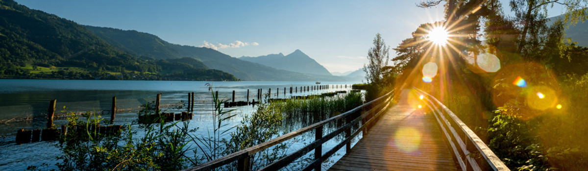 207430_thunersee_panorama.jpg