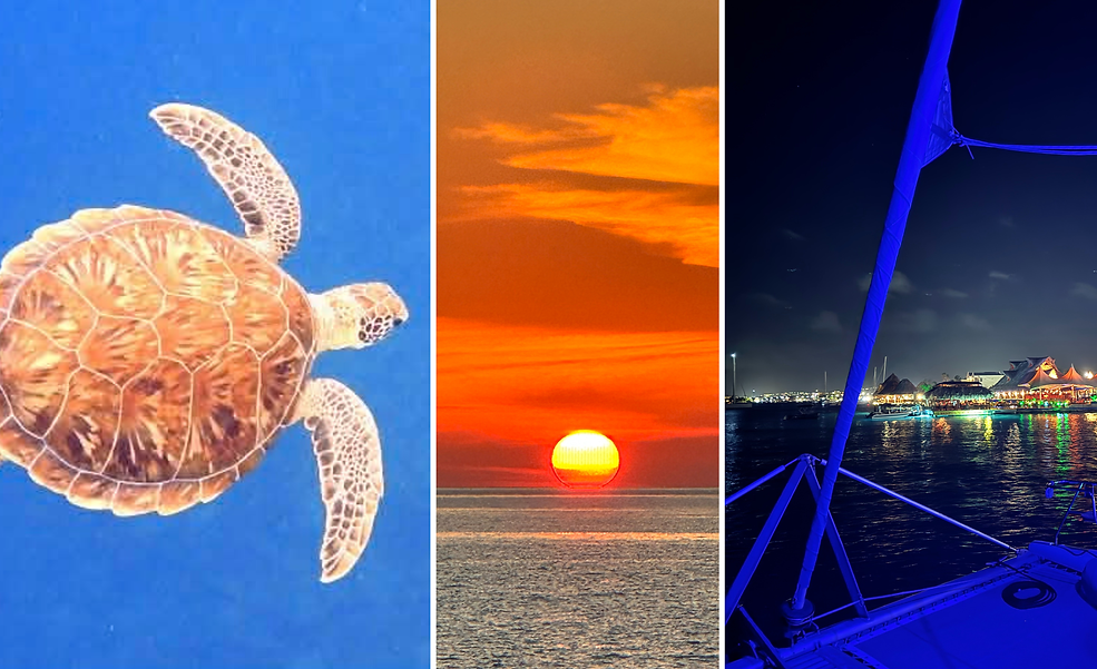 Snorkel Sunset Star-Gazing (5).png