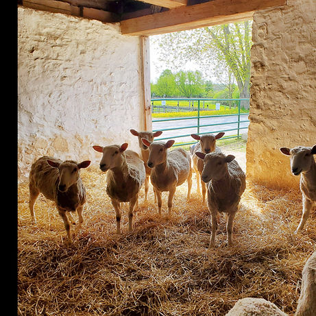 Swing into Spring.jpg