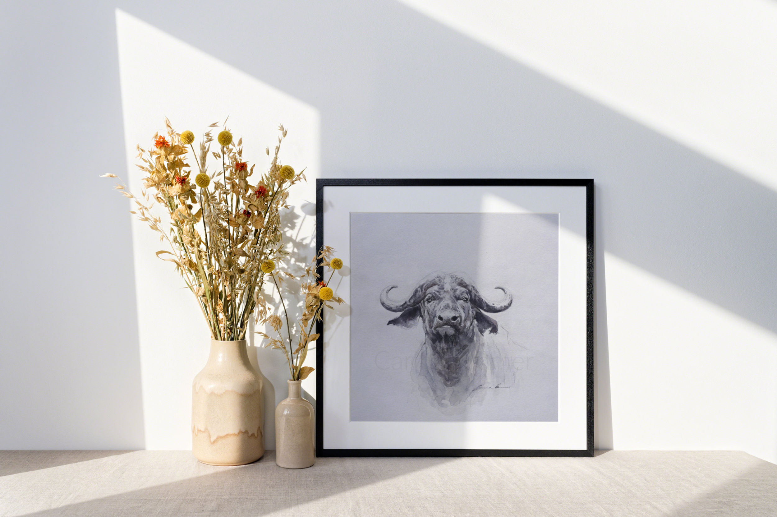 "Cape Buffalo"