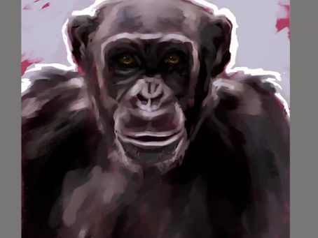Chimpanzee - Digital Artwork