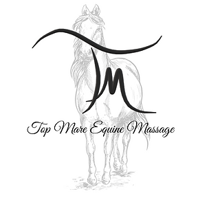 logo 2.png