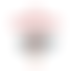 Zone Mixte - Thibault Vialla et Laurent Pruneta nous répondent !