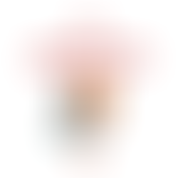 Zone Mixte - Quelques mots de Cyprien, journaliste et supporter Lavallois !