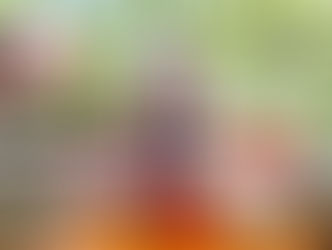 Marca baiana de laticínios amplia produção após prêmios internacionais