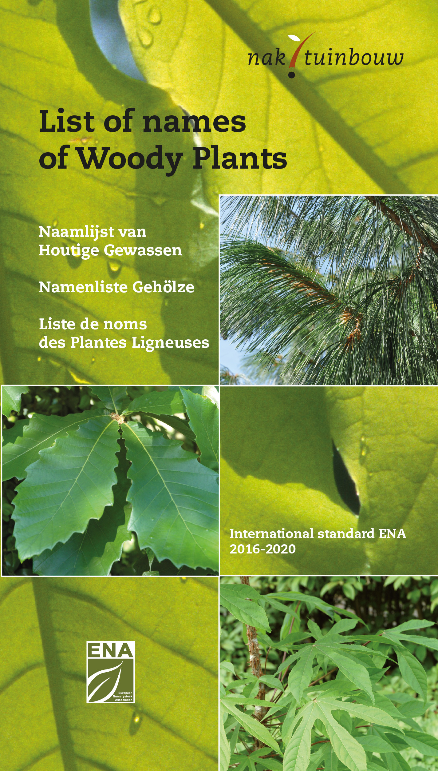 New editions of the Lists of Names of woody plants and perennials