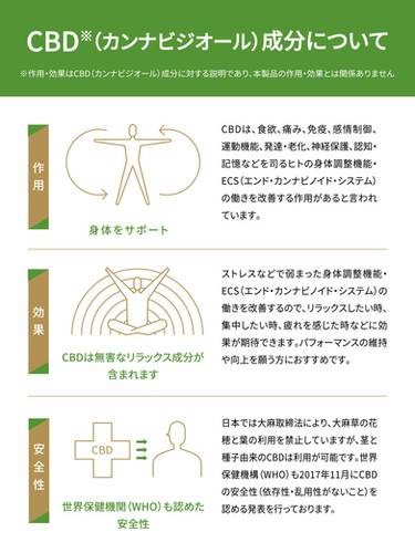ホルミシスカンナビジオールセラピークリーム imgrc0126798380.jpg