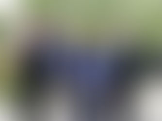 Re-Plant. Re-Imagine. Re-Build.