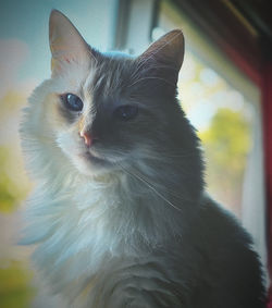 IMG_20251012_121252_692