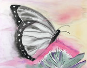 butterflywatercolor.JPEG